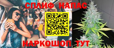 гидра Будённовск