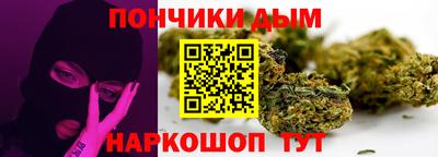 гидра Будённовск